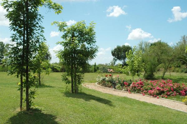 Hotel Le Rotonde Massaciuccoli Ngoại thất bức ảnh